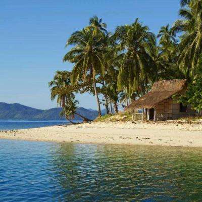 双赢彩票官方网站手机app下载